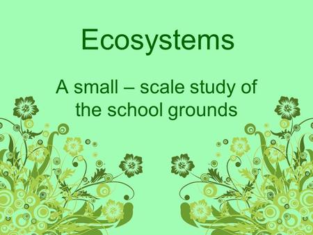 Ecosystems A small – scale study of the school grounds.
