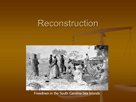 Freedmen in the South Carolina Sea Islands