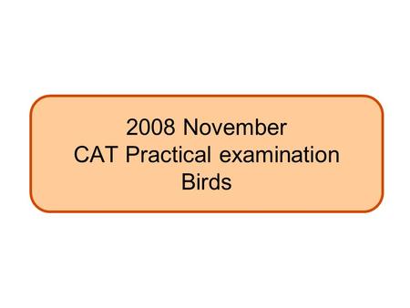 2008 November CAT Practical examination Birds. File management Birds.