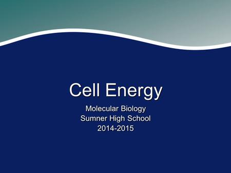 Cell Energy Molecular Biology Sumner High School 2014-2015 Molecular Biology Sumner High School 2014-2015.