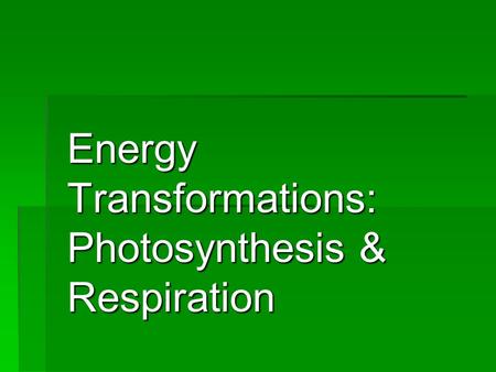 Energy Transformations: Photosynthesis & Respiration
