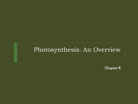 Photosynthesis: An Overview Chapter 8. ATP Energy Storage.