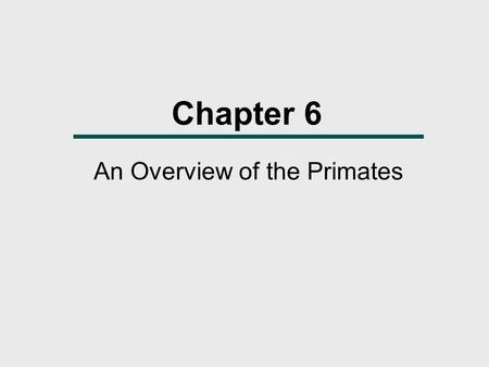 An Overview of the Primates