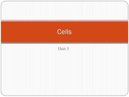 Unit 3 Cells. Atoms- smallest unit of matter  Molecules/compounds  Macromolecules (lipids, etc.)  Organelles (nucleus, etc.)  Cells.