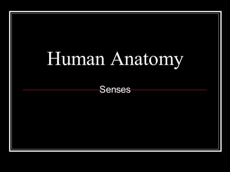 Human Anatomy Senses. Conjunctiva Covers the inner surface of the eyelids and the anterior surface of the eye. Membrane which produces mucous that lubricates.