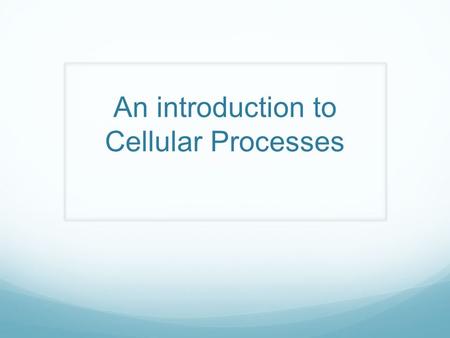 An introduction to Cellular Processes. Learning Objectives SWBAT: Explain why all biological systems require constant energy input to maintain organization,