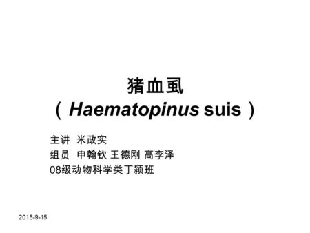 猪血虱 （Haematopinus suis）
