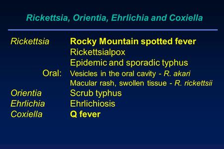 RickettsiaRocky Mountain spotted fever Rickettsialpox Epidemic and sporadic typhus Oral: Vesicles in the oral cavity - R. akari Macular rash, swollen tissue.