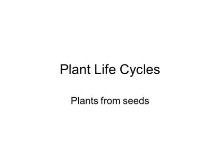 Plant Life Cycles Plants from seeds. 1. Seeds are the first part in a flowering plant’s life cycle. 2. Seeds need: warmth, water, air and soil to begin.