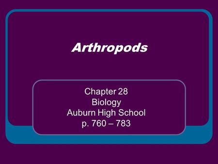 Arthropods Chapter 28 Biology Auburn High School p. 760 – 783.