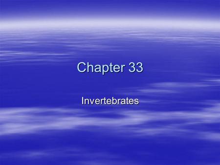 Chapter 33 Invertebrates.