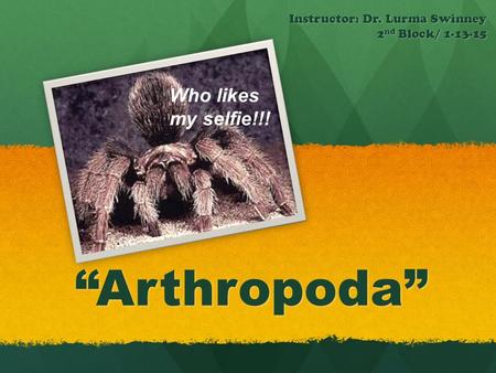 “Arthropoda” Instructor: Dr. Lurma Swinney 2 nd Block/ 1-13-15 Who likes my selfie!!!