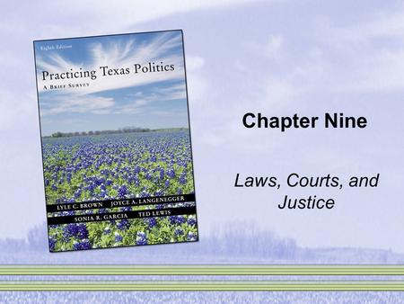 Chapter Nine Laws, Courts, and Justice. An Introduction to Texas’s Justice System.