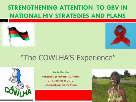 Annie Banda National Coordinator COWLHA 3- 6 December 2012 Johannesburg, South Africa STRENGTHENING ATTENTION TO GBV IN NATIONAL HIV STRATEGIES AND PLANS.