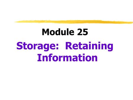 Storage: Retaining Information