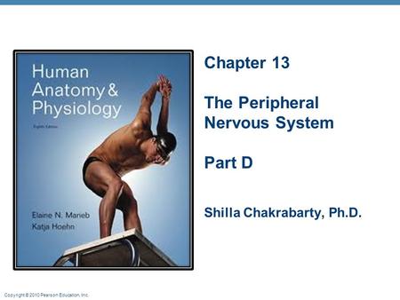 Chapter 13 The Peripheral Nervous System Part D Shilla Chakrabarty, Ph