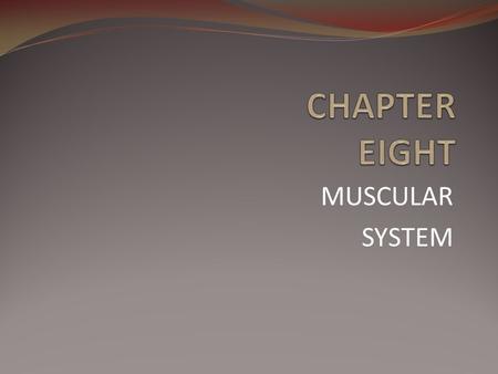 CHAPTER EIGHT MUSCULAR SYSTEM.