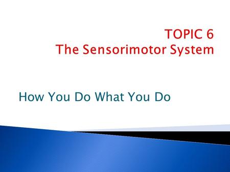 TOPIC 6 The Sensorimotor System