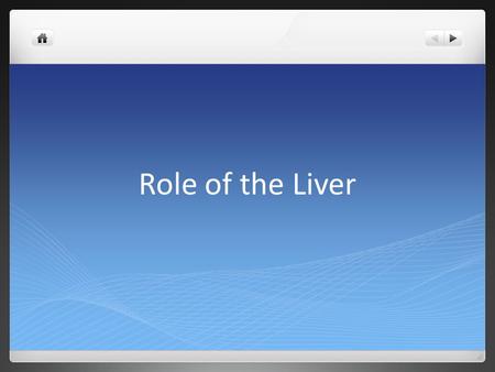 Role of the Liver. Do Now -Introductory Paragraph check-in.