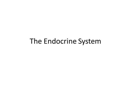 The Endocrine System. WHAT IS THE ENDOCRINE SYSTEM?