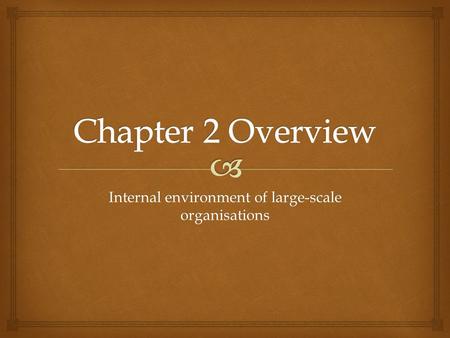 Internal environment of large-scale organisations.