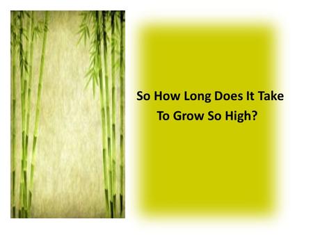 So How Long Does It Take To Grow So High? SO how long does it take to.