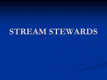 STREAM STEWARDS. CONTINUATION OF HIJACKED POWERPOINT.