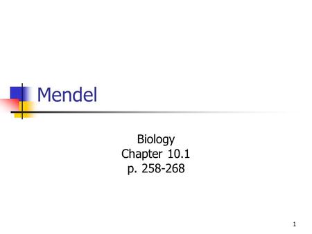 Mendel Biology Chapter 10.1 p. 258-268.