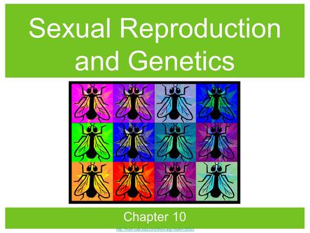 Sexual Reproduction and Genetics