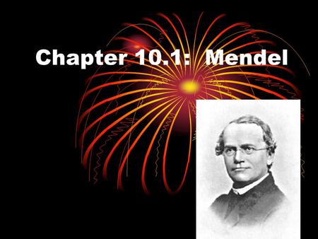 Chapter 10.1: Mendel. Gregor Mendel Father of genetics Studied heredity Passing on of traits from parent to offspring.