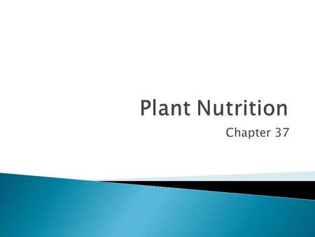 Chapter 37.  Plants need a variety of things to live:  Water and carbon dioxide  Chemical elements  Minerals  Soil  Nitrogen.