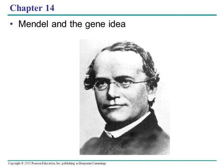 Copyright © 2005 Pearson Education, Inc. publishing as Benjamin Cummings Chapter 14 Mendel and the gene idea.