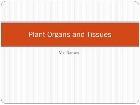 Mr. Ramos Plant Organs and Tissues. Introduction to Plants There are over 260,000 different species of flowering plants alone! Plants are multicellular,