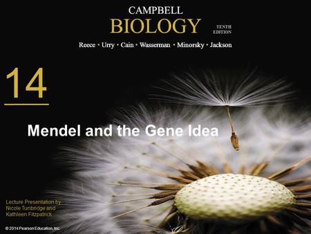 14 Mendel and the Gene Idea