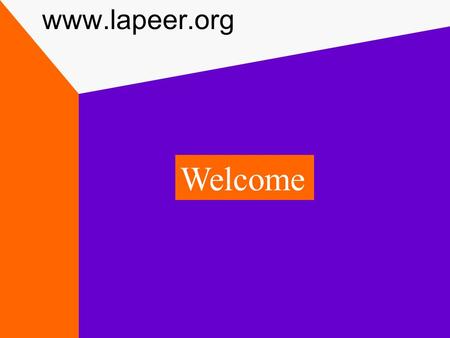Www.lapeer.org Welcome. Internet Here to Stay Skyrocketing popularity Over half of the country's 105 million households have computers Nearly two-thirds.