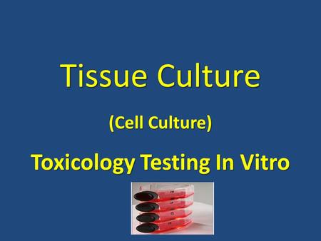 Tissue Culture (Cell Culture) Toxicology Testing In Vitro
