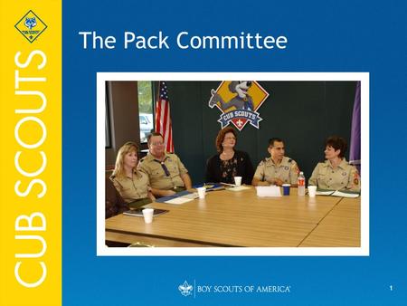 The Pack Committee Say (in your own words):