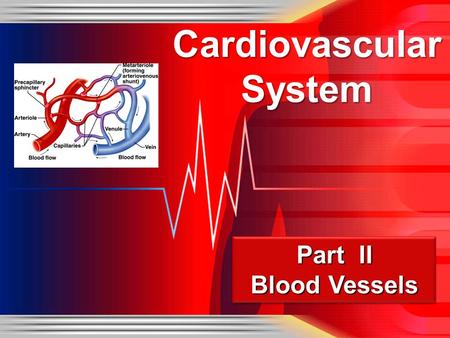 Cardiovascular System Part II Blood Vessels. Blood Vessels An efficient mode of transport for oxygen, nutrients, and waste products to and from body tissues.
