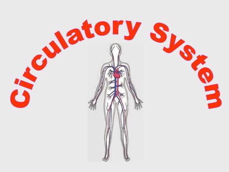  The circulatory system carries blood and dissolved substances to and from different places in the body.  The Heart has the job of pumping these things.