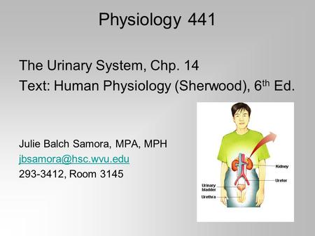 Physiology 441 The Urinary System, Chp. 14 Text: Human Physiology (Sherwood), 6 th Ed. Julie Balch Samora, MPA, MPH 293-3412, Room.