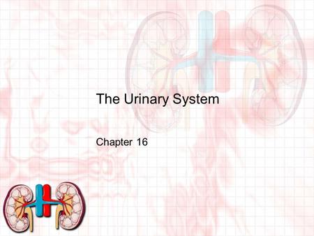 The Urinary System Chapter 16. Waste Excretion Chemical reactions in the body result in waste products that may be potentially harmful, therefore must.