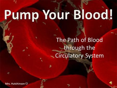 The Path of Blood through the Circulatory System Mrs. Hutchinson.