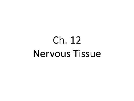 Ch. 12 Nervous Tissue. Objectives Understand how the nervous system is divided and the types of cells that are found in nervous tissue Know the anatomy.
