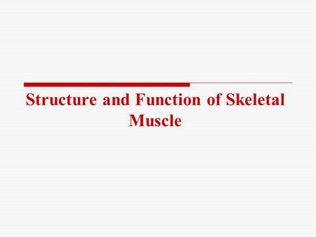 Structure and Function of Skeletal Muscle. Three Muscle Types Skeletal- striated Cardiac- striated, intercalated discs Smooth- not striated All muscle.