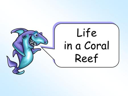 Life in a Coral Reef.