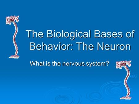 The Biological Bases of Behavior: The Neuron What is the nervous system?