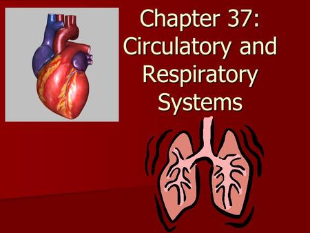 Chapter 37: Circulatory and Respiratory Systems