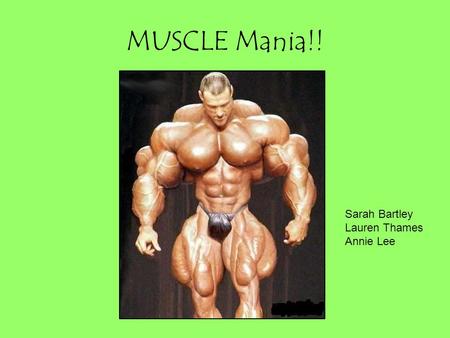 MUSCLE Mania!! Sarah Bartley Lauren Thames Annie Lee.