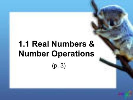 1.1 Real Numbers & Number Operations (p. 3). What is a real number? All the numbers you are used to using in your previous math classes. There are 4 types.