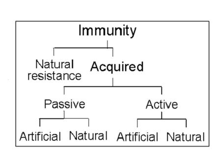 Immunization Immunization is the means of providing specific protection against most common and damaging pathogens. Specific immunity can be acquired.